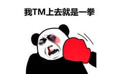 我TM上去就是一拳