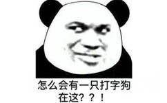 怎么会有一只打字狗在这？？！