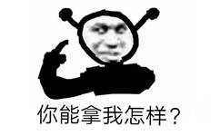 你能拿我怎样？