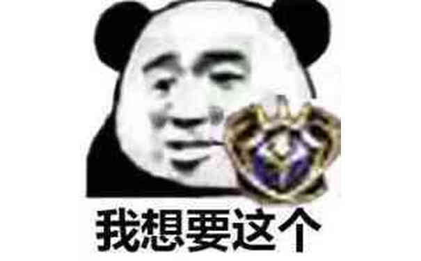 我想要这个