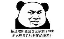 按道理你盗图也应该满了300，怎么还是几张破图轮流发？