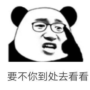 要不你到处去看看