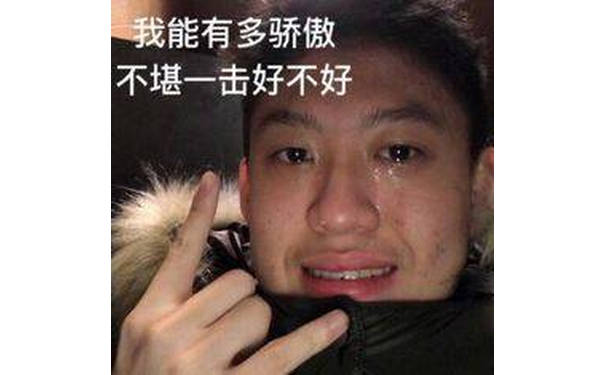 我能有多骄傲，不堪一击好不好