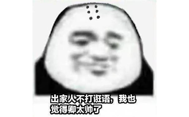 出家少不打诳语，我也觉得卿呢