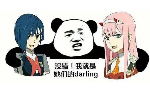 没错！我就是她们的 darling