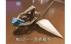 MDZZ……劳资看书