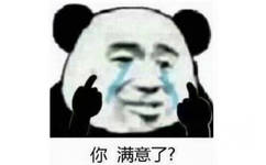 你满意了？