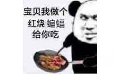 宝贝我做个红烧蝙蝠给你吃