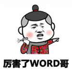 厉害了WORD哥