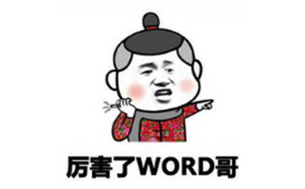 厉害了WORD哥