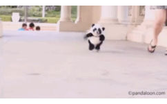 开心小熊猫