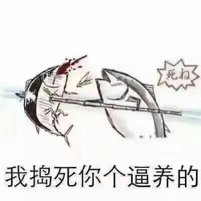 我捣死你个逼养的