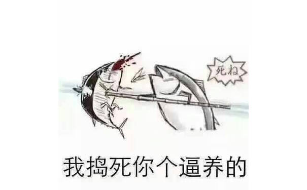 我捣死你个逼养的