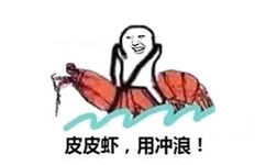 皮皮虾，用冲浪！