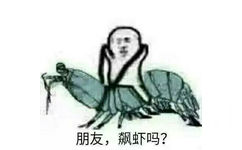 朋友，飙题吗？