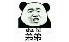 弟弟（sha bi）