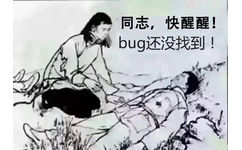 同志，快醒醒！bug还没找到！