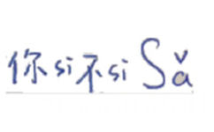 你si不si sa（文字表情）