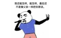 我不能2怎样，能怎样，最后还不是像父亲一样把你原谅。