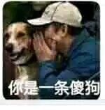 你是一条傻狗