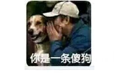 你是一条傻狗