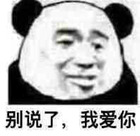 别说了，我爱你（熊猫人）