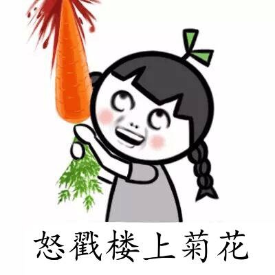 怒戳楼上菊花