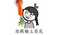 怒戳楼上菊花