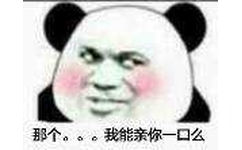 那个。。。。我能亲你一口么？