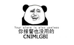 你报警也没用的（CNIMLGBI）