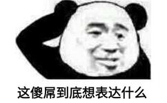 这傻屌到底想表达什么