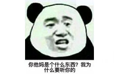 你他妈是个什么东西？我为什么要听你的？