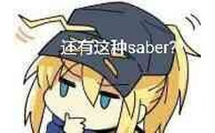 还有这种saber？