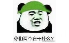 你们两个在干什么？