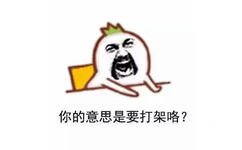 你的意思是要打架咯？