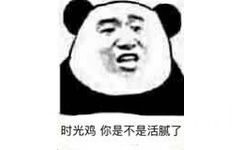 时光鸡，你是不是活腻了