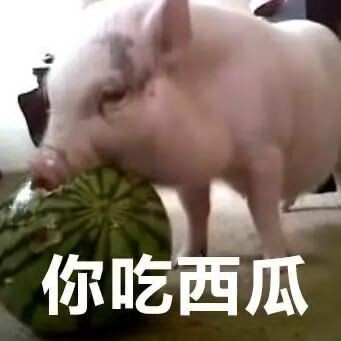 你吃西瓜