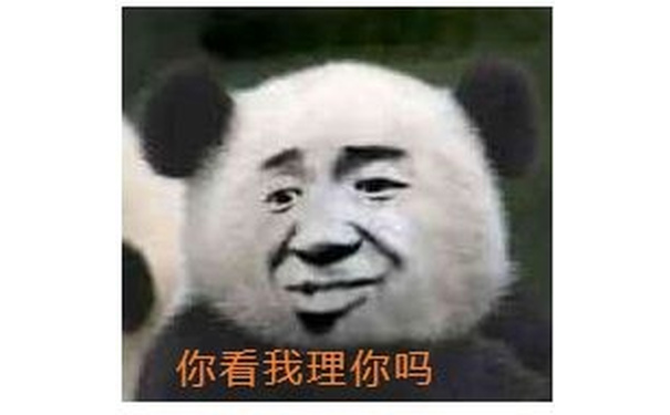 你看我理你吗