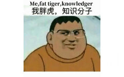 我胖虎，知识分子（me, fat tigger, knowledger）