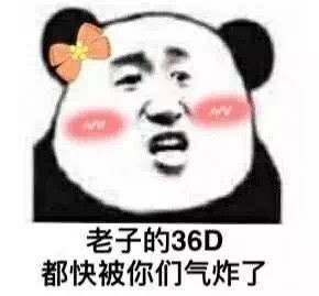 老子的36D都快被你们气炸了