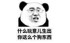 什么玩意儿生出你这么个狗东西