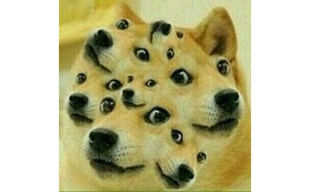 多眼doge