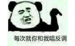 每次就你和我唱反调