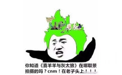 你知道《喜羊羊与灰太狼》在哪取景拍摄的吗?cnm!在老子头上!!