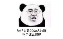 这特么是2000人的群吗?这么安静