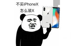 不买 iphoneX怎么装Ⅹ