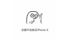 你要不给我买 iphoneⅩ