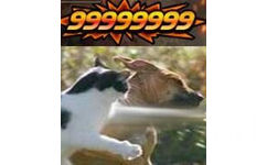 99999999伤害