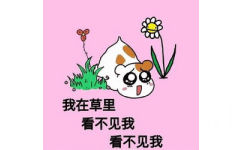 我在草里看不见我看不见我