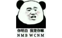 你明白我宠你嘛 NMB WCNM